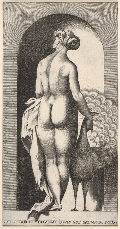 4. tábla: Juno egy fülkében áll, hátulról nézve, jobbra egy pávát simogat, fr..., 1526. alkotó: Giovanni Jacopo Caraglio
