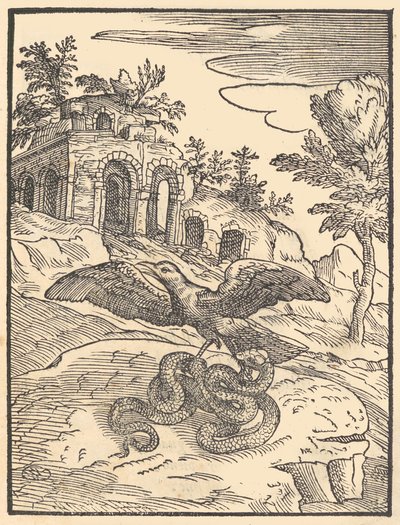Madár és kígyó, 1570. alkotó: Giovanni Maria Verdizotti