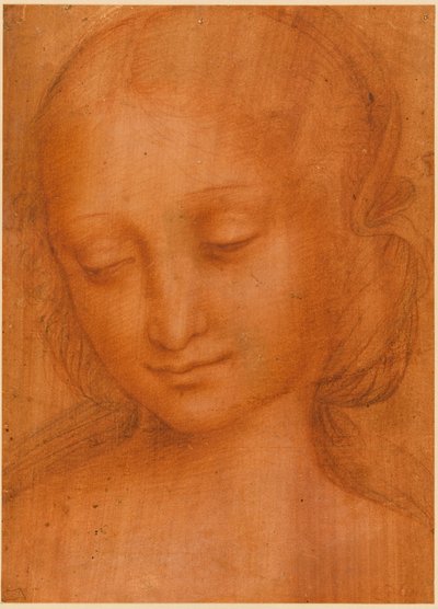 Egy nő feje alkotó: Giovanni Pietro Rizzoli Giampietrino