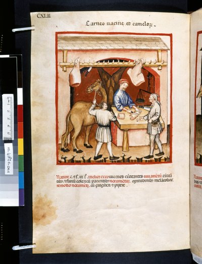 Ububchasym de Baldach Theatrum sanitatis: "Carnes Va cinae et Camelorum", a 14. század első évtizede (miniatűr) alkotó: Giovannino de
