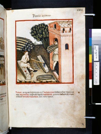 Ububchasym de Baldach Theatrum sanitatis: "Panis Azimus", a 14. század első évtizede (miniatúra) alkotó: Giovannino de