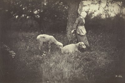 Pásztorlány egy fának támaszkodva, két báránnyal, 1870. alkotó: Giraudon