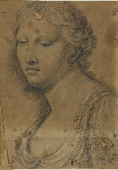Nő mellszobra alkotó: Girolamo da Carpi