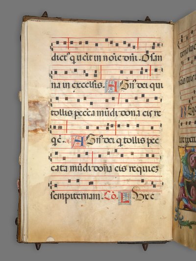 Fokozatos alkotó: Girolamo dai Libri