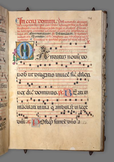 Fokozatos, c. 1520. alkotó: Girolamo dai Libri