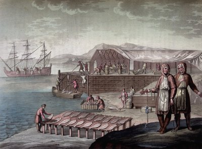 Új-Fundland lakói által készített tőkehal horgászat - a Ferrario „” Le costume ancien et moderne” című könyvében, szerk. Milánó alkotó: Giulio Ferrario