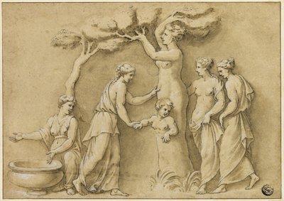 Adonis születése alkotó: Giulio Romano