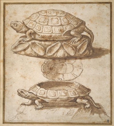 Tervezés egy teknősbéka alakú, fedeles dobozhoz, nyitott és zárt állapotban (toll és barna tinta barna mosással a papíron) alkotó: Giulio Romano