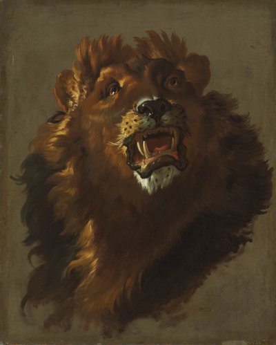 Oroszlán alkotó: Giuseppe Baldrighi