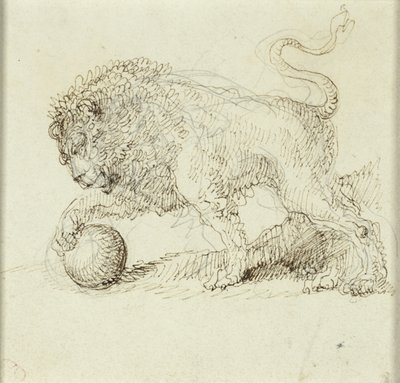 Oroszlán labdával alkotó: Giuseppe Bernardino Bison