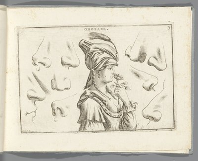 Szag Odorare (cím az objektumon) alkotó: Giuseppe Maria Mitelli