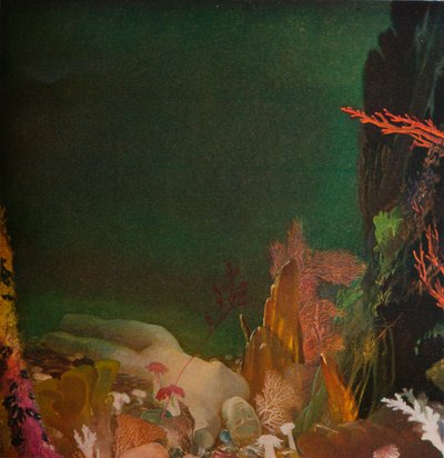 A tenger alatt, c1904-1924, 1924 alkotó: Glyn Warren Philpot