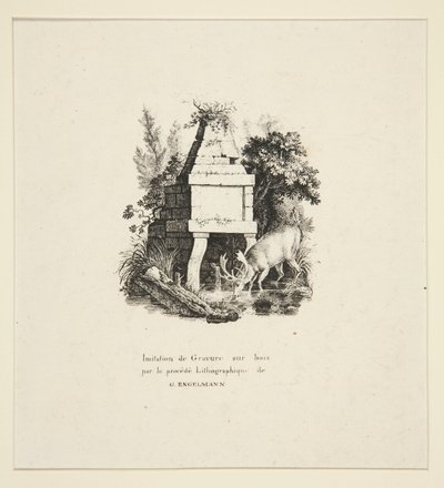 Legényivás alkotó: Godefroy Engelmann