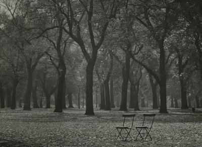 Őszi fák a Hyde Parkban, London alkotó: Godfrey Macdominic