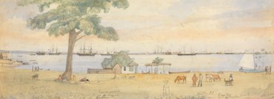 Greytown alkotó: Godfrey Thomas Vigne