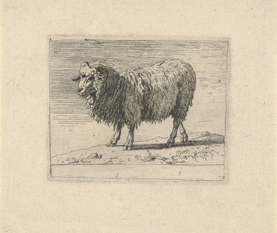 Ram Különféle állatok (sorozat címe) alkotó: Govert van der Leeuw