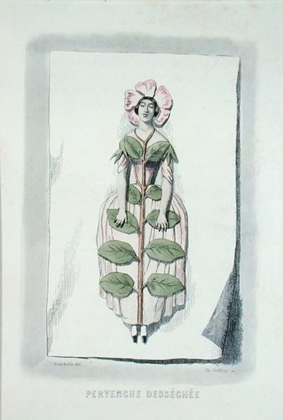 Elszáradt ősziwinkle, a "Les Fleurs Animees"-ből, Charles Geoffroy (1819-82) metszetében alkotó: Grandville