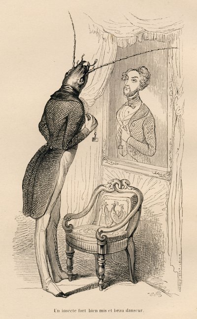 Rovar nézi emberi tükörképét a tükörben). JJ Granville illusztrált matricái. Andrew, Best és Leloir által aláírt metszet a "Les aventures d