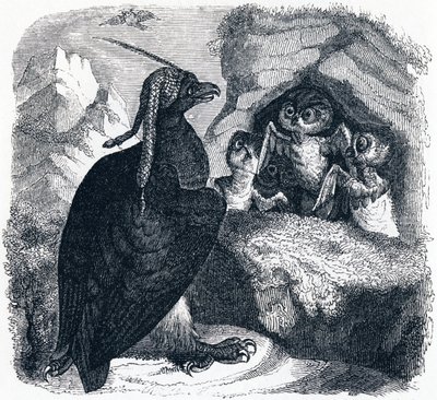 A sas és a bagoly, illusztráció a Fables of La Fontaine-ből, alkotó: Grandville