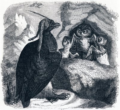 A sas és a bagoly - La Fontaine meséi alkotó: Grandville