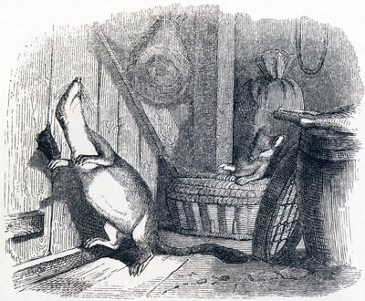A menyét bemegy egy padlásra – La Fontaine meséi alkotó: Grandville