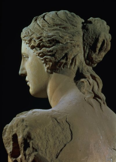 Venus de Milo, részlet a fej hátuljáról, hellenisztikus időszak, Kr.e. 100 körül márvány elölnézethez lásd 14152 alkotó: Greek