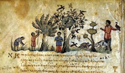 Sólyomvadászat és madárfészkek befogása. Oppianus De Venatione görög kézirata 13. század. alkotó: Greek School