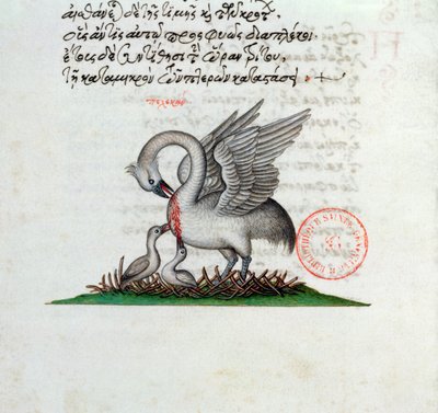 Ms 3401 Egy Pelikán, aki átszúrja a mellét, hogy táplálja fiait, Manuel Philes bestiáriumából, 1566 alkotó: Greek School