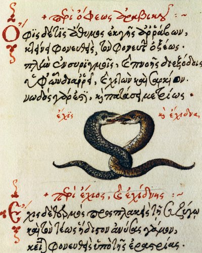 Kígyócsatolás, teszt és miniatűr Aelianustól: Az állatok természete és tulajdonságai (Kr. u. 2-3. század) alkotó: Greek School