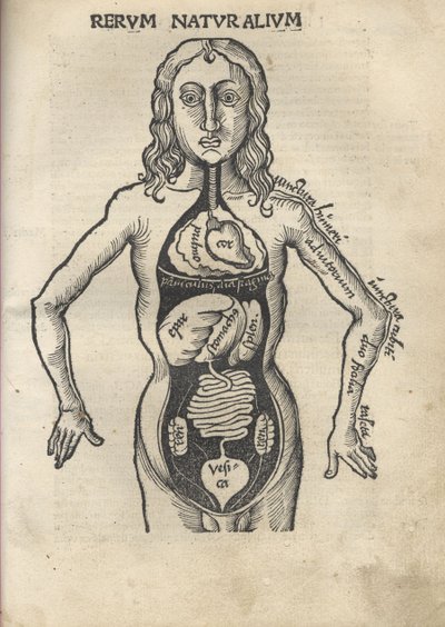 Margarita Filozófiai Anatómia, 1504 alkotó: Gregor Reisch