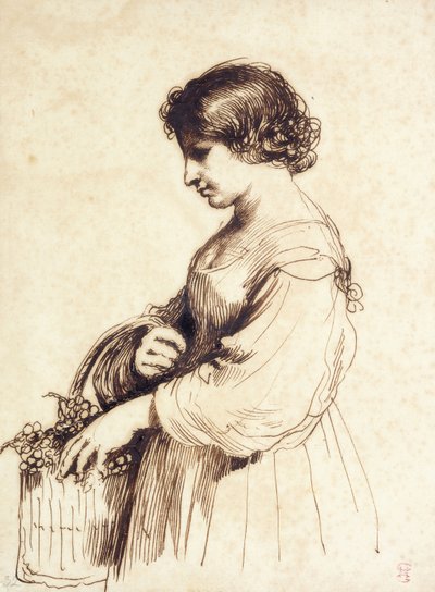 Egy fiatal nő a kezében egy gyümölcskosarat, alkotó: Guercino