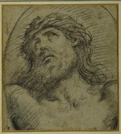 A keresztre feszített élő Krisztus feje és válla (fekete kréta a carta azzurrán) alkotó: Guido Reni