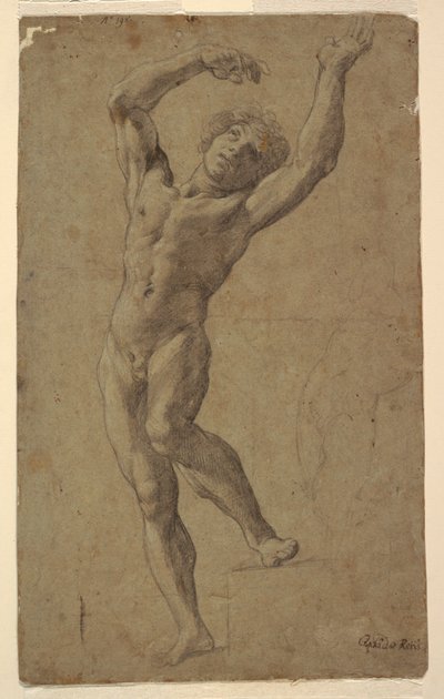 St. Sebastian tanulmánya, Pomarici Santomasi Múzeum, Puglia, Olaszország alkotó: Guido Reni