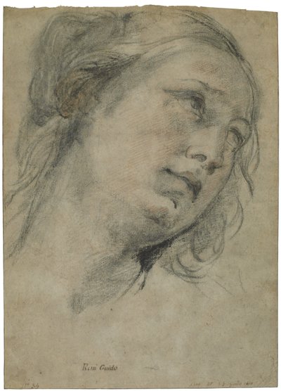 Egy fiatal nő feje felfelé néz, 1609 körül (fekete-vörös kréta fehér krétával, barna fektetett papíron) alkotó: Guido Reni