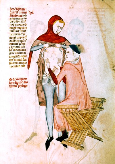 A beteget vizsgáló orvos (miniatűr) alkotó: Guido da Vigevano da Pavia