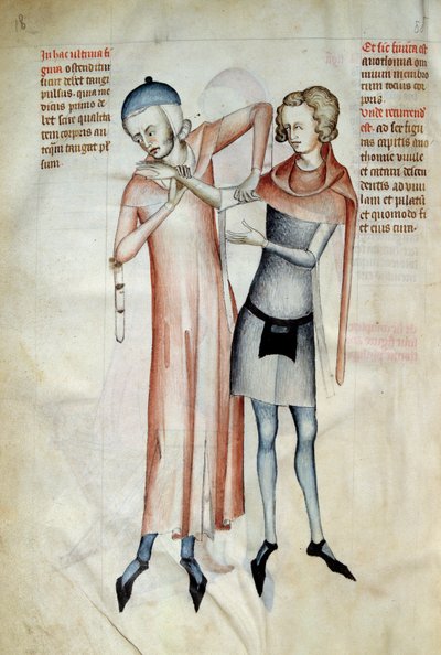 Sebészet: az orvos karnyújtással megvizsgálja páciense ízületeit (Osteopath). Miniatűr a "Liber notables Philippi, a frankok hetedik királya, Galien könyveiből kivonat" című filmben, amelyet Gui (Guy) Pavia alkotó: Guido da Vigevano da Pavia