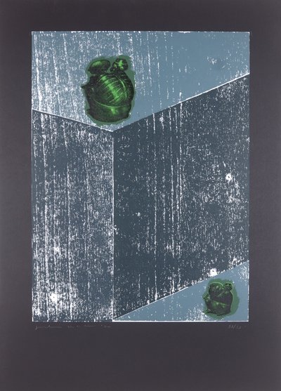 Invisible Room nº8, The Dream Of My Soul, 2019 (fametszet és szitanyomás) alkotó: Guilherme Pontes