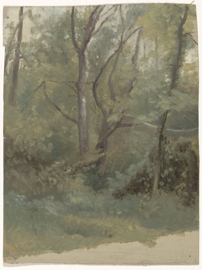 erdő kilátás alkotó: Guillaume Anne van der Brugghen