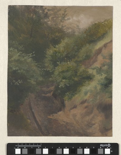 Dűne út alkotó: Guillaume Anne van der Brugghen