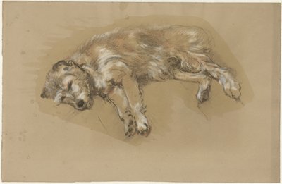 Hazug kutya alkotó: Guillaume Anne van der Brugghen