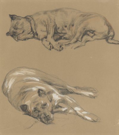 Twee studies van een liggende hond   1385795   hu       hungarian Successfully Translated  Original: Scene in a market (colour litho) Translat: Scene in a market (colour litho) 1324204 hu hungarian Successfully Translated Original: Vrede Translat: Vrede 12 alkotó: Guillaume Anne van der Brugghen