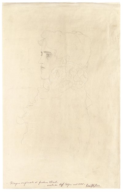 Profilban lévő nő, fodros gallérral alkotó: Gustav Klimt