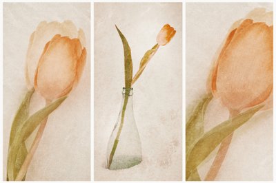 Finom tulipáncsendélet alkotó: Gustav Davidsson