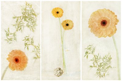 Soft Gerbera triptichon alkotó: Gustav Davidsson
