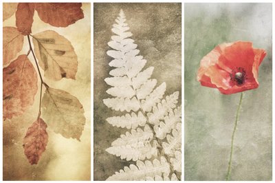 Vintage Nature Trio alkotó: Gustav Davidsson
