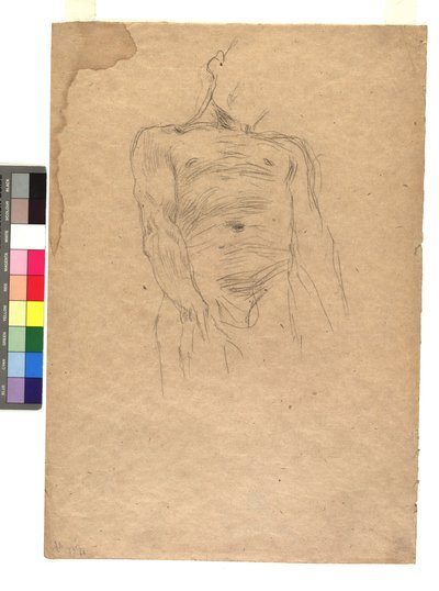 Männlicher Torso alkotó: Gustav Klimt