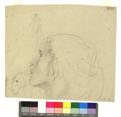 Weiblicher Kopf im Profil nach links, Pferdekopf im Profil, Figurenstudie alkotó: Gustav Klimt