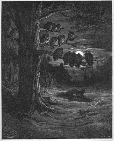 India róka és csirkék - Jean de La Fontaine (Lafontaine) (1621-95) meséiből - Gustave Dore (1832-83) utáni metszet - Magángyűjtemény alkotó: Gustave (after) Dore