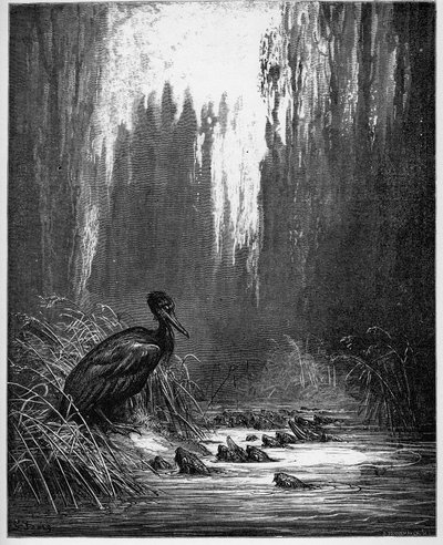hal és kormorán - hal és kormorán - Jean de La Fontaine (Lafontaine) "Fables"-jából (1621-95) - gravír Gustave Dore (1832-83) nyomán - Magángyűjtemény alkotó: Gustave (after) Dore