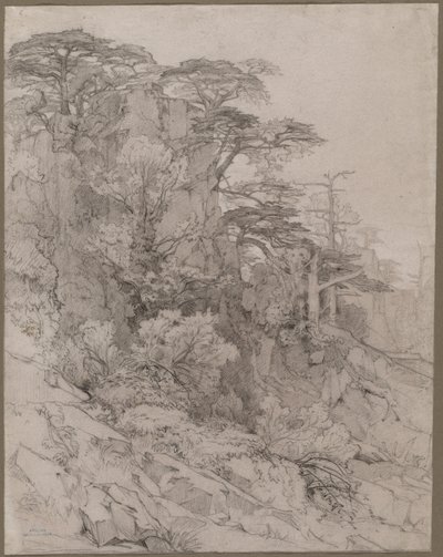 Egy sziklás domboldal fái, 1800-as évek vége. alkotó: Gustave Achille Guillaumet